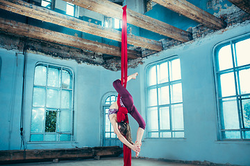 Image showing Graceful gymnast performing aerial exercise at loft