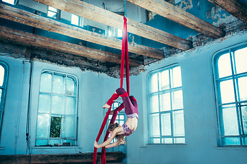 Image showing Graceful gymnast performing aerial exercise