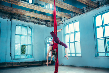 Image showing Graceful gymnast performing aerial exercise at loft