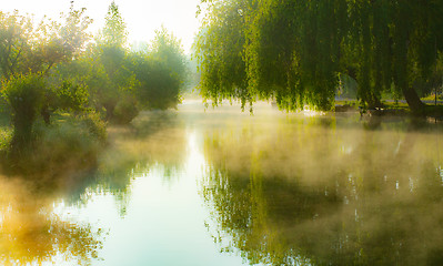Image showing Mist on the river in the marshes of Bourges city