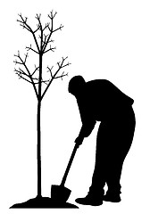 Image showing Young man planting a tree