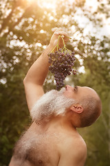 Image showing Bacchus eating grapes outdoors