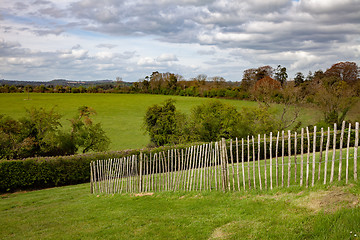 Image showing green grass meadow fence in Ireland