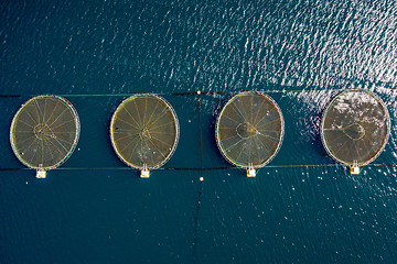 Image showing Farm salmon fishing in Norway