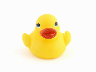 Image showing Isolated Rubber Duck