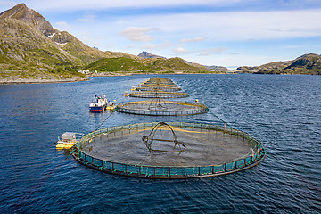 Image showing Farm salmon fishing in Norway