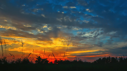 Image showing Fantastic Colorful Sunset Cloudscape