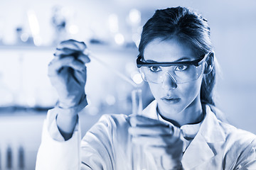 Image showing Young scientist pipetting in life science laboratory.