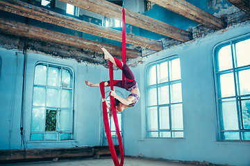 Image showing Graceful gymnast performing aerial exercise