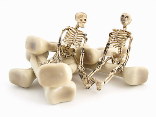 Image showing Mr and Mrs Bones