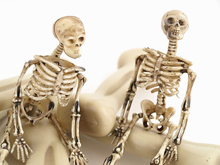 Image showing The Bone Brothers