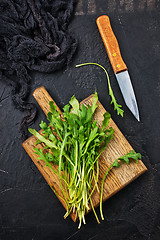 Image showing arugula