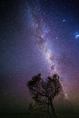 Image showing A sky full of stars milky way