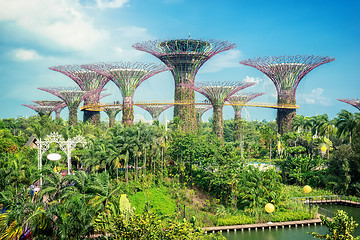 Image showing Garden Marina Bay Sands Singapore