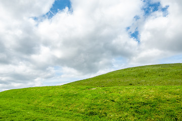 Image showing green grass meadow background in Ireland