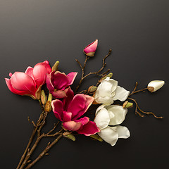 Image showing some magnolia flowers on a black background