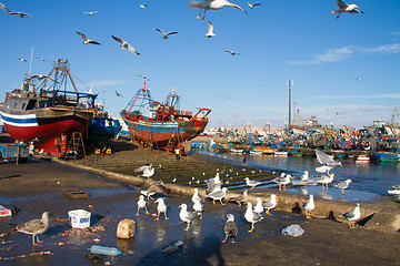 Image showing Flocks of seagulls flying over Essaouira fishing harbor, Morocco. Fishing boat docked at the Essaouira port waits for a full repair with a boat hook in the foreground