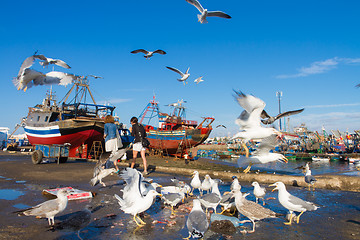 Image showing Flocks of seagulls flying over Essaouira fishing harbor, Morocco. Fishing boat docked at the Essaouira port waits for a full repair with a boat hook in the foreground