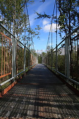 Image showing Bridge in nature