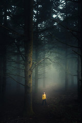 Image showing Walking in a forest on a foggy morning