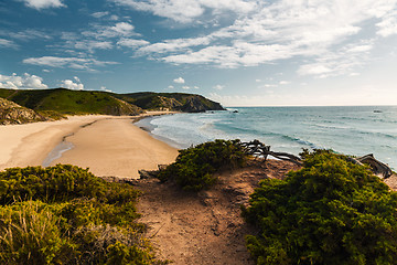 Image showing Beautiful beach