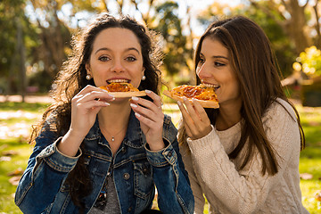 Image showing Pizza with Friends