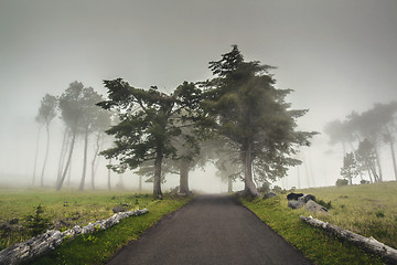 Image showing Road on a foggy morning 