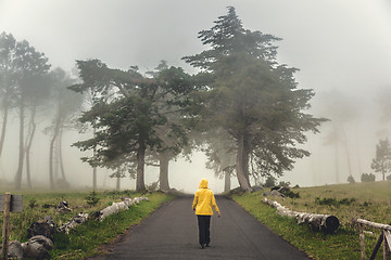 Image showing Walking on a foggy road