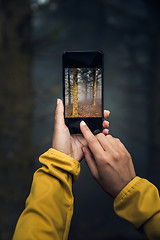 Image showing Taking a picture to a forest