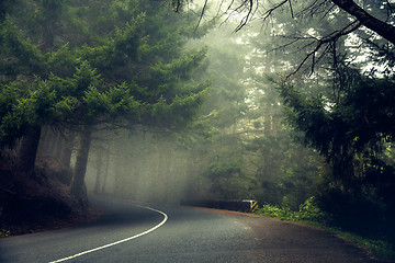 Image showing Beautiful road in the middle of a forest