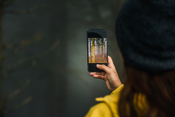 Image showing Taking a picture to a forest