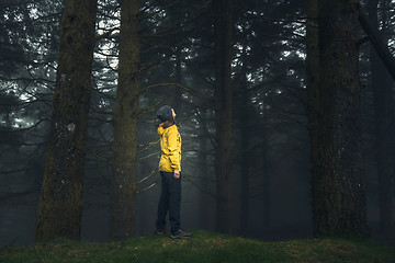 Image showing Traveler looking to a forest