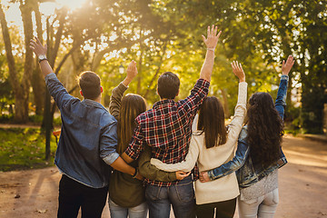 Image showing Group of friends in the park