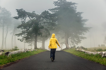 Image showing Walking on a foggy road