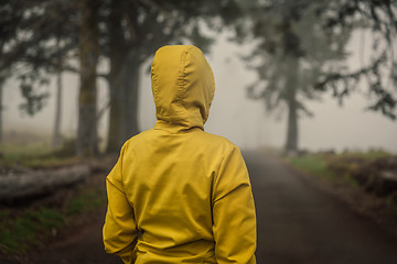 Image showing Traveler looking to a forest