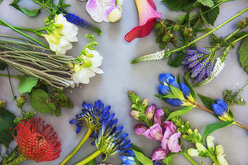 Image showing Flowers composition flatlay