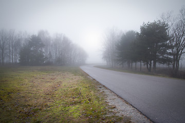 Image showing Foggy Forrest