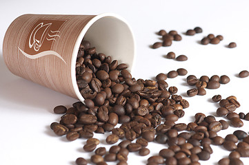 Image showing Coffee beans; Kafijas pupi?as