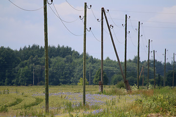 Image showing Power poles next to forest.