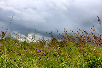 Image showing Meadow and sky in Latvia.