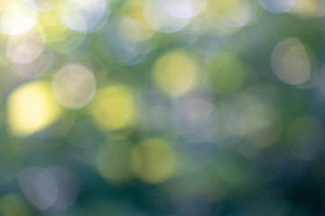 Image showing Yellow and blue bokeh circles on a blurred natural green background. Beautiful layout for your ideas