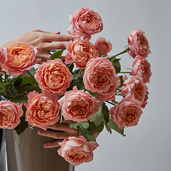 Image showing Female hands hold a vase with pink roses on a gray background. A gift for women\'s day