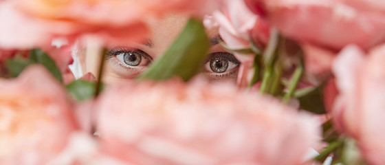 Image showing Close-up of a bouquet of pink roses