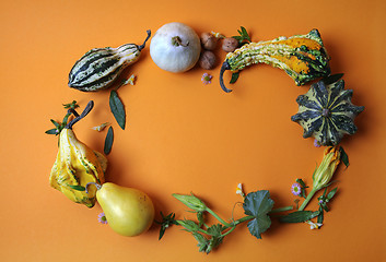 Image showing frame of decorative pumpkins on an orange background