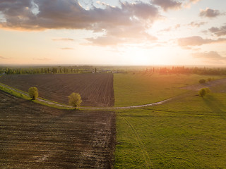 Image showing Aerial view from the drone, a bird\'s eye view of abstract geometric forms of agricultural fields with a dirt road through them in the summer evening at sunset.