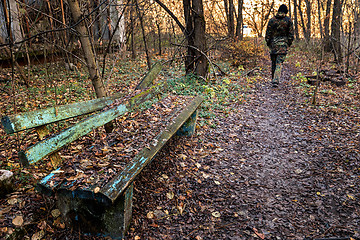 Image showing Old destroyed bench next to path