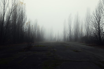 Image showing Dark abandoned road in the forest