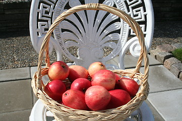 Image showing Swedish James Grieve apples