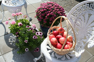 Image showing James Grieve apples and beautiful autumn flowers