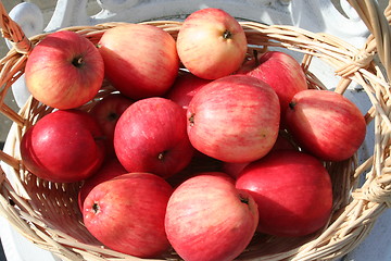 Image showing Swedish James Grive apples in basket